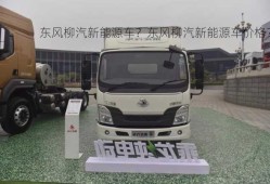 东风柳汽新能源车？东风柳汽新能源车价格？