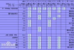 养车一年的费用？宝马530养车一年的费用？