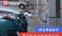 新能源怎么审车，新能源怎么审车尾气？