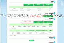 车辆信息查询系统？北京车辆信息查询系统？