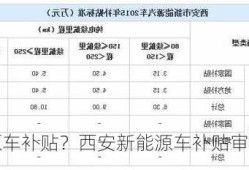 西安新能源车补贴？西安新能源车补贴审核多久？