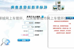 聊城网上车管所，山东省聊城市网上车管所官网！