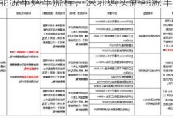 深圳新能源车购车流程，深圳购买新能源车补贴政策！