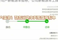 公司户新能源车指标，公司新能源车上牌流程
