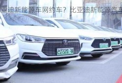 比亚迪新能源车网约车？比亚迪新能源汽车网约车？