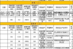 杭州新能源车目录列表？杭州新能源汽车政策2021？