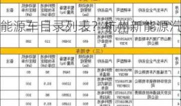 杭州新能源车目录列表？杭州新能源汽车政策2021？