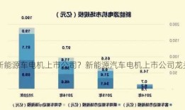 新能源车电机上市公司？新能源汽车电机上市公司龙头？