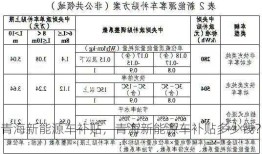 青海新能源车补贴，青海新能源车补贴多少钱？