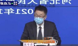 包含石家庄市长换人的词条