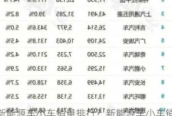 新能源车小车销量排行？新能源车小车销量排行榜？