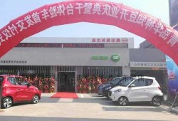 青岛新能源车品牌，青岛新能源汽车销售