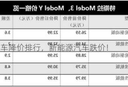 新能源车降价排行，新能源汽车跌价！