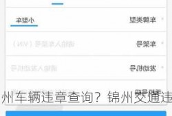 锦州车辆违章查询？锦州交通违法查询系统？