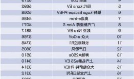 新能源车最大品牌，新能源车最大品牌排行榜！