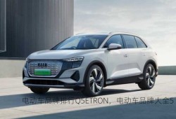 电动车品牌排行Q5ETRON，电动车品牌大全5