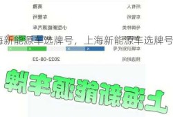 上海新能源车选牌号，上海新能源车选牌号规则！