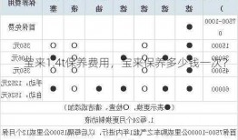 宝来1.4t保养费用，宝来保养多少钱一次？