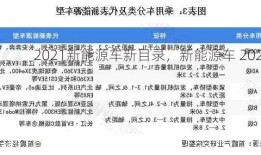 2021新能源车新目录，新能源车 2022