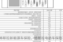 特斯拉新能源车保险，特斯拉电动车保险？