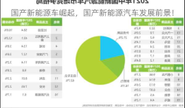 国产新能源车崛起，国产新能源汽车发展前景！