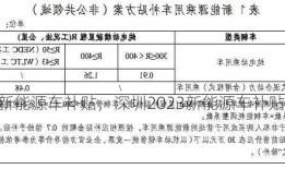 深圳2023新能源车补贴，深圳2023新能源车补贴政策