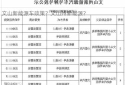 文山新能源车政策？文山州新能源？