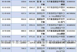 新能源车基金排行，新能源车基金排行榜最新？