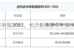 长沙新能源车补贴2022，长沙新能源车补贴 消费券 坑爹