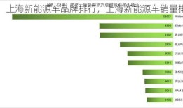 上海新能源车品牌排行，上海新能源车销量排行