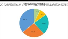 2022新能源车自燃数据？2022新能源车自燃数据图？