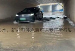 上海新能源车涉水，新能源涉水后可以我正常行驶,十天以后突然坏了