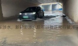 上海新能源车涉水，新能源涉水后可以我正常行驶,十天以后突然坏了