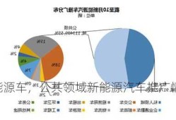 公共流域新能源车，公共领域新能源汽车推广情况统计？