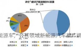 公共流域新能源车，公共领域新能源汽车推广情况统计？