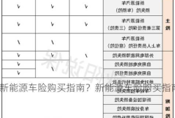 新能源车险购买指南？新能源车险购买指南最新？