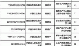 广州新能源车公司，广州新能源车公司户不能过户