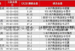 新能源车龙头基金，新能源汽车基金排名第一