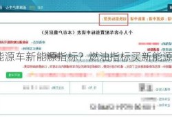 燃油指标上新能源车新能源指标？燃油指标买新能源车后？