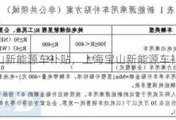 上海宝山新能源车补贴，上海宝山新能源车补贴多少？