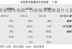 cs新能源车指数，cs新能车指数是什么意思！