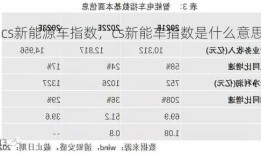 cs新能源车指数，cs新能车指数是什么意思！