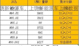 上饶新能源车，上饶新能源车上牌数据？