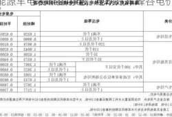 新能源车电表峰谷用电，电动汽车峰谷电价？