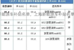 上海新能源车补贴名单，上海新能源车补贴名单公示？