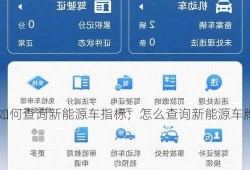 如何查询新能源车指标，怎么查询新能源车牌