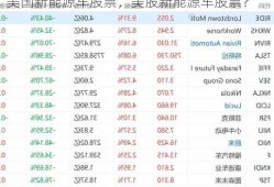 美国新能源车股票，美股新能源车股票？