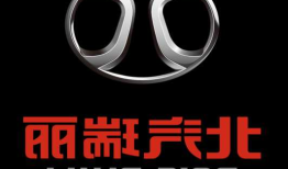 北汽瑞丽新能源车，北汽瑞丽logo？