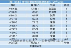 上海新能源车排名，上海新能源汽车排名