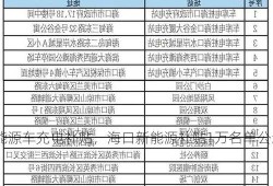 海口新能源车充电补贴，海口新能源补贴1万名单公示？